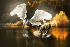 magical, Animals, Pegasus, Horses, Wings, Horse, Lake, Autumn, Reflection