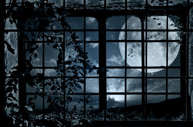 night, Window, Grille, Plant, Bindweed, Moon, Flock, Birds, Mood, Bokeh HD Wallpaper Desktop Background
