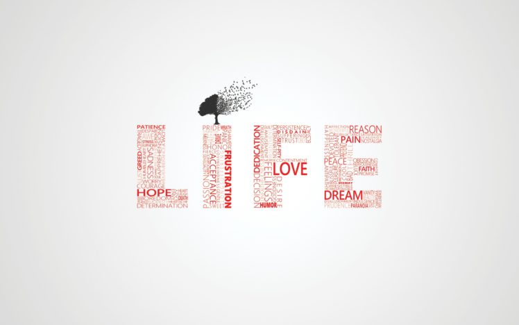 love, Trees, Typography, Life HD Wallpaper Desktop Background