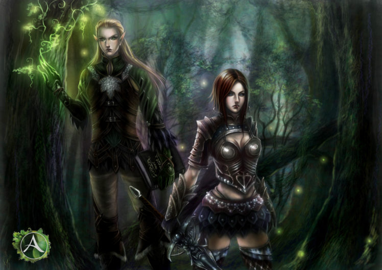elves, Men, Warrior, Two, Fantasy, Girl, Elf, Forest, Magic HD Wallpaper Desktop Background