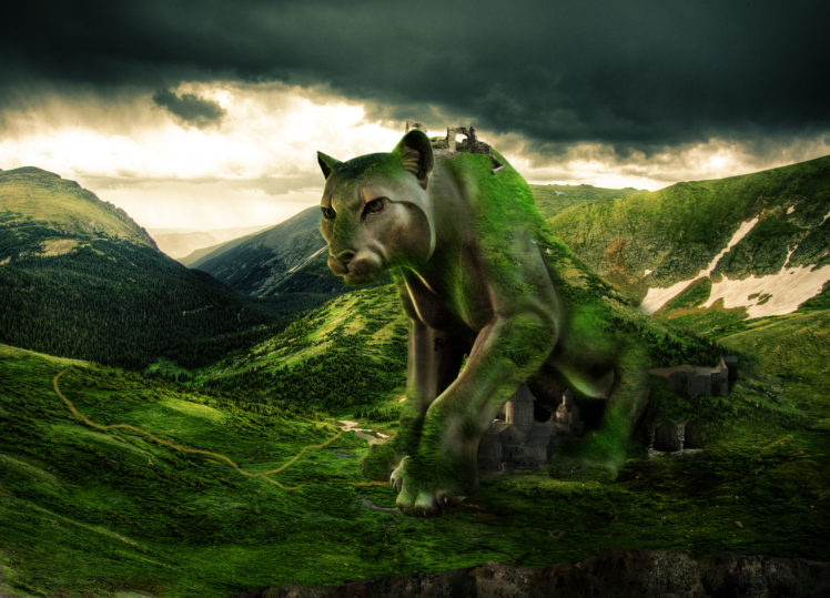 puma, Leopard, Jaguar, City, Castle, Mountains, Sky HD Wallpaper Desktop Background