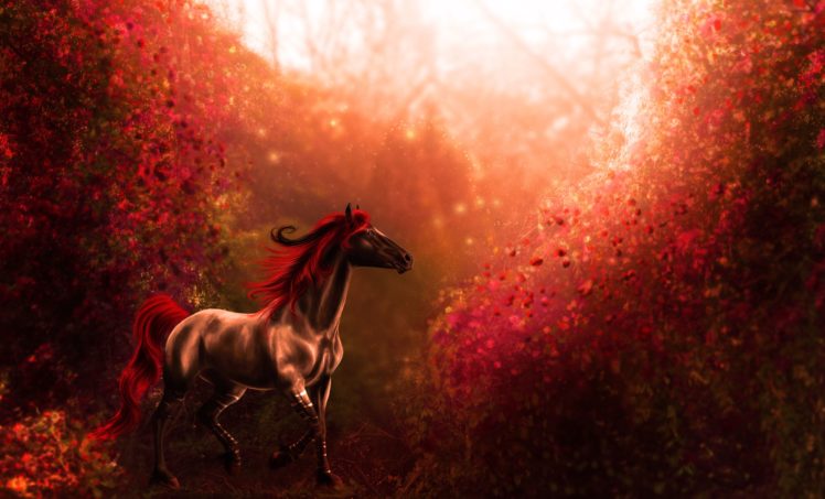 horse HD Wallpaper Desktop Background