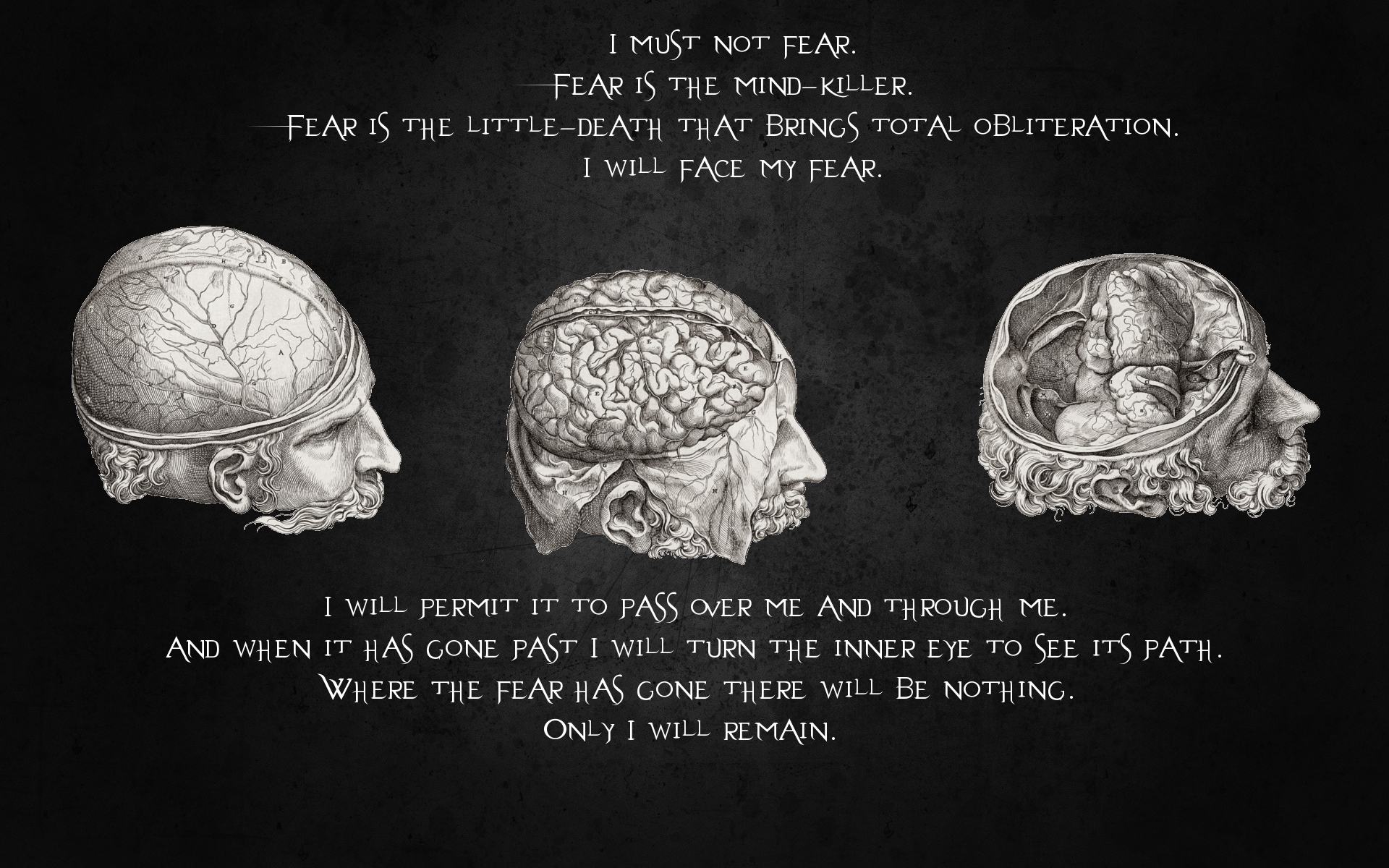 quotes, Brain Wallpaper