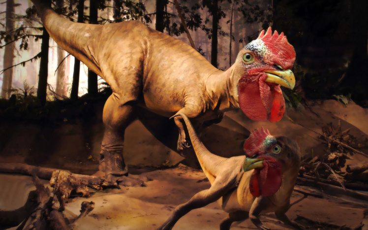 dinosaurs, Chickens HD Wallpaper Desktop Background