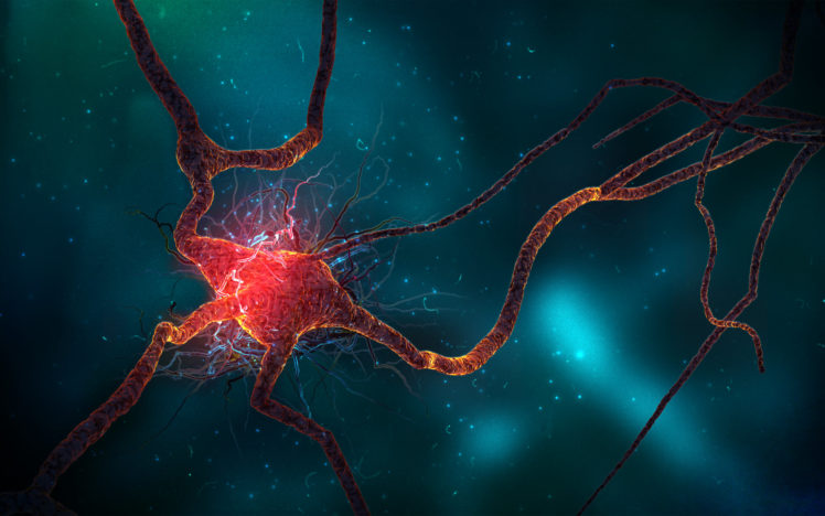 neuron, Spike, Train HD Wallpaper Desktop Background