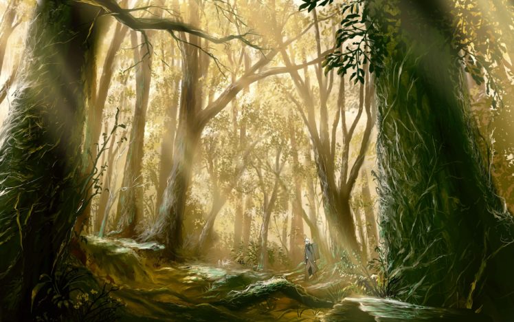 trees, Forest, Mushishi HD Wallpaper Desktop Background