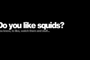 animals, Humor, Funny, Squid