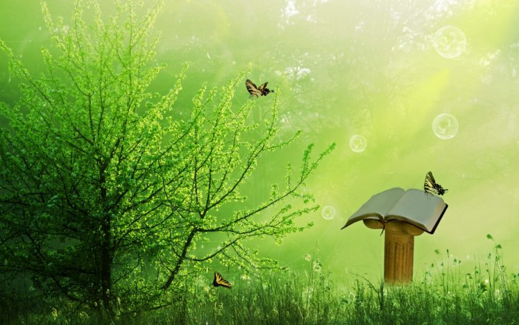 tree, Butterfly, Book, 3d, Art, Mood, Bokeh HD Wallpaper Desktop Background