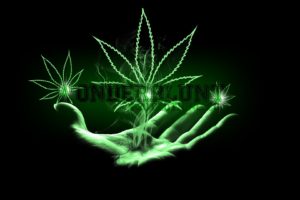 marijuana, Weed, 420, Ganja