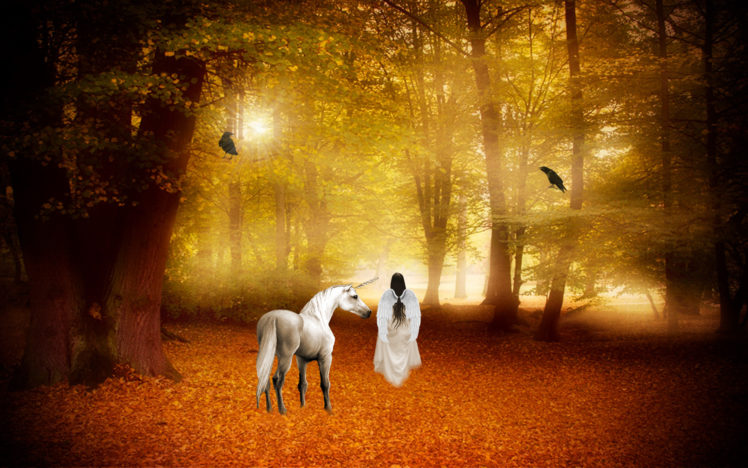 unicorn, Horse, Magical, Animal, Angel, Fairy, Autumn, Forest HD Wallpaper Desktop Background