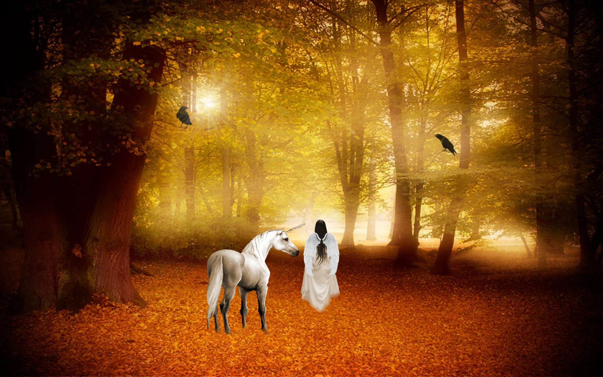 unicorn, Horse, Magical, Animal, Angel, Fairy, Autumn, Forest Wallpaper