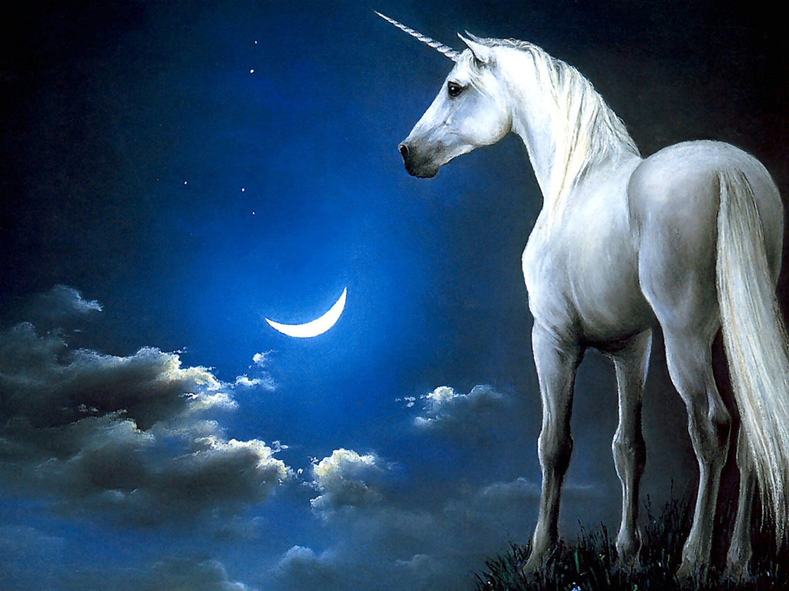 unicorn, Horse, Magical, Animal, Moon Wallpaper