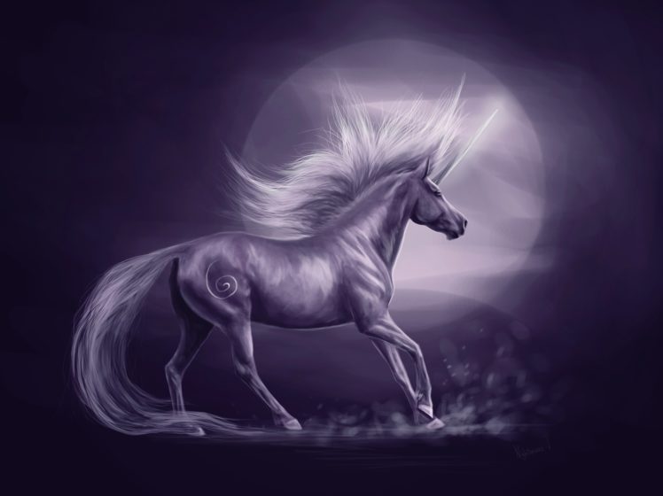 unicorn, Horse, Magical, Animal, Moon HD Wallpaper Desktop Background