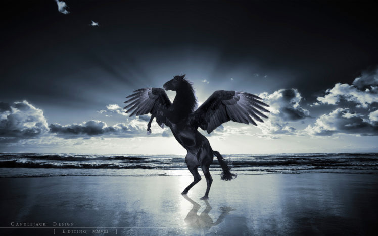 unicorn, Horse, Magical, Animal, Pegasus, Ocean, Beach HD Wallpaper Desktop Background