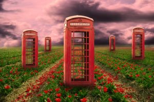 field, Telephone, Booths, Flowers, 3d, Art, Psychedelic