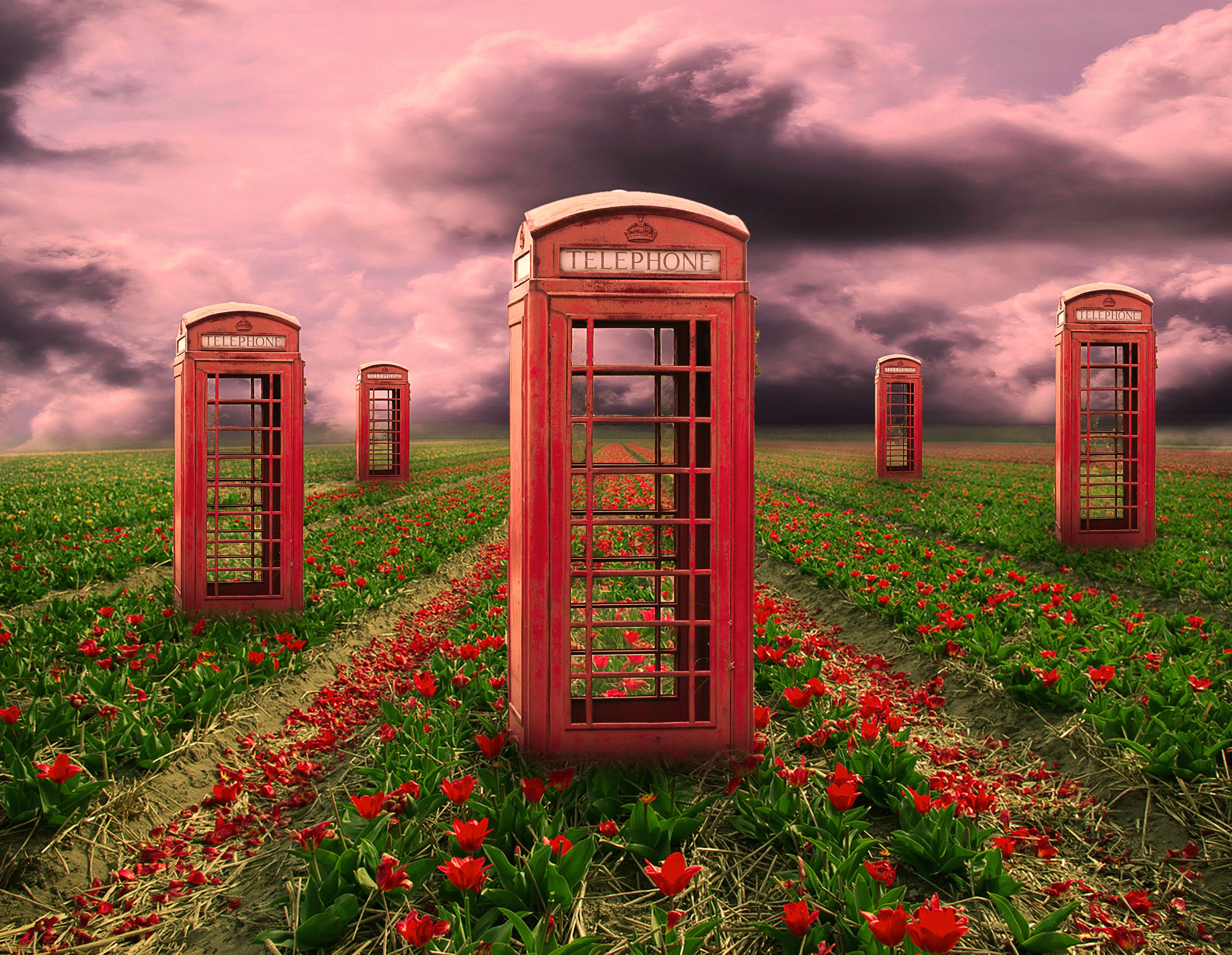 field, Telephone, Booths, Flowers, 3d, Art, Psychedelic Wallpaper