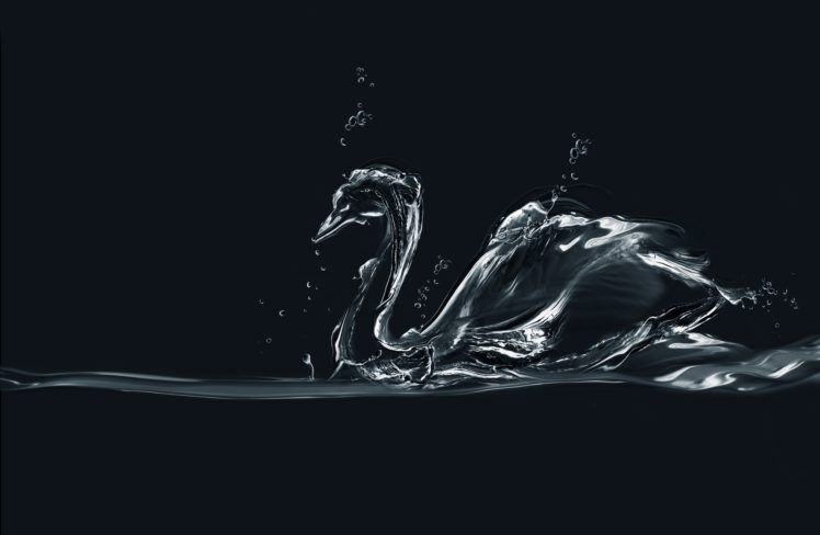 birds, Swans, Water, Animals, Drops HD Wallpaper Desktop Background