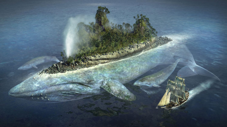 ships, Islands, Whales, Vehicles, Sea HD Wallpaper Desktop Background