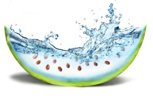 water, Minimalistic, Fruits, Funny, Watermelons, Seeds, Skin, Creativity