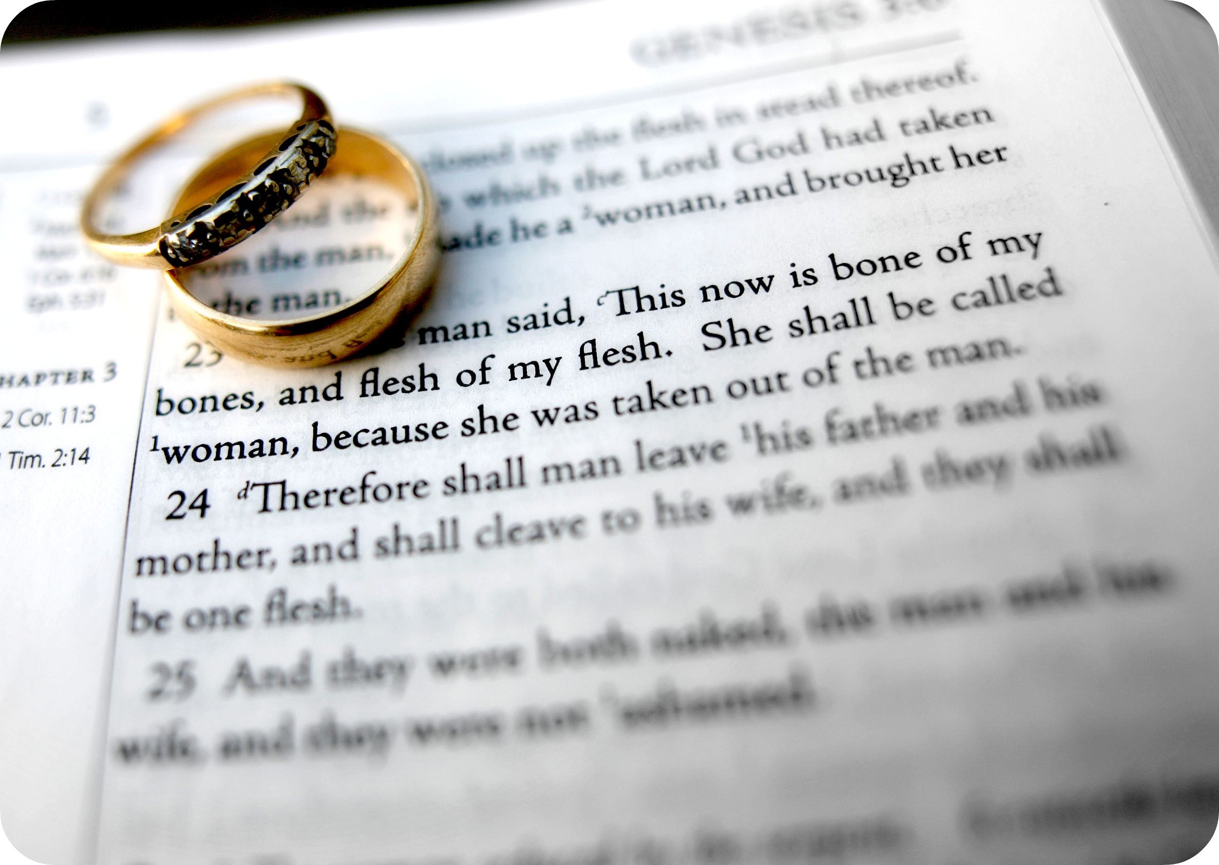 bible verses, Religion, Quote, Text, Poster, Bible, Verses Wallpaper