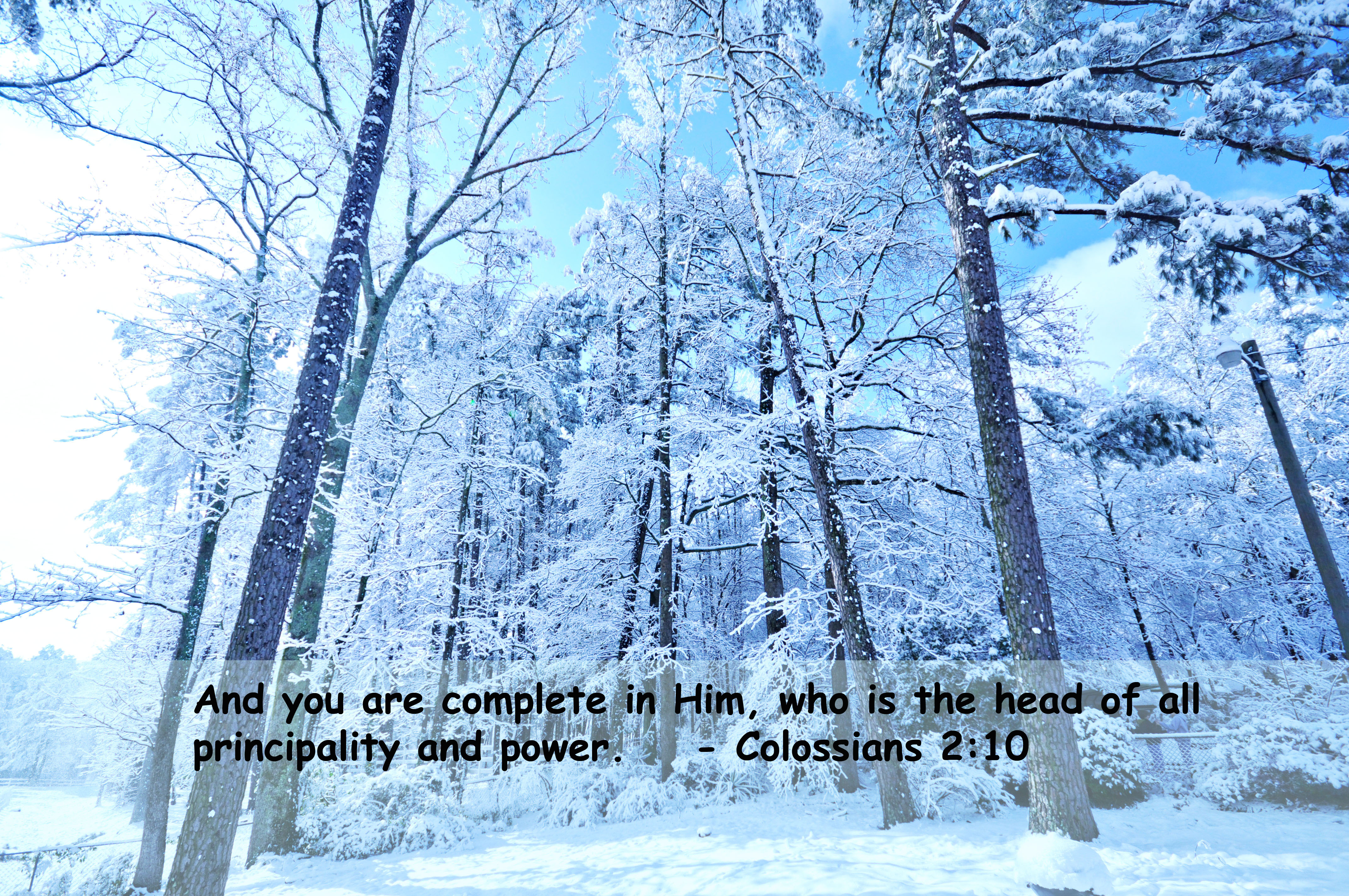 bible verses, Religion, Quote, Text, Poster, Bible, Verses, Eq Wallpaper