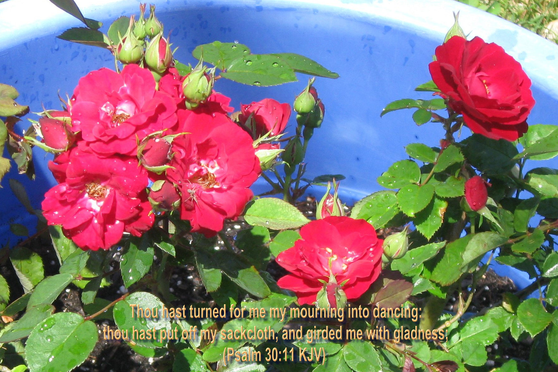 bible verses, Religion, Quote, Text, Poster, Bible, Verses Wallpaper