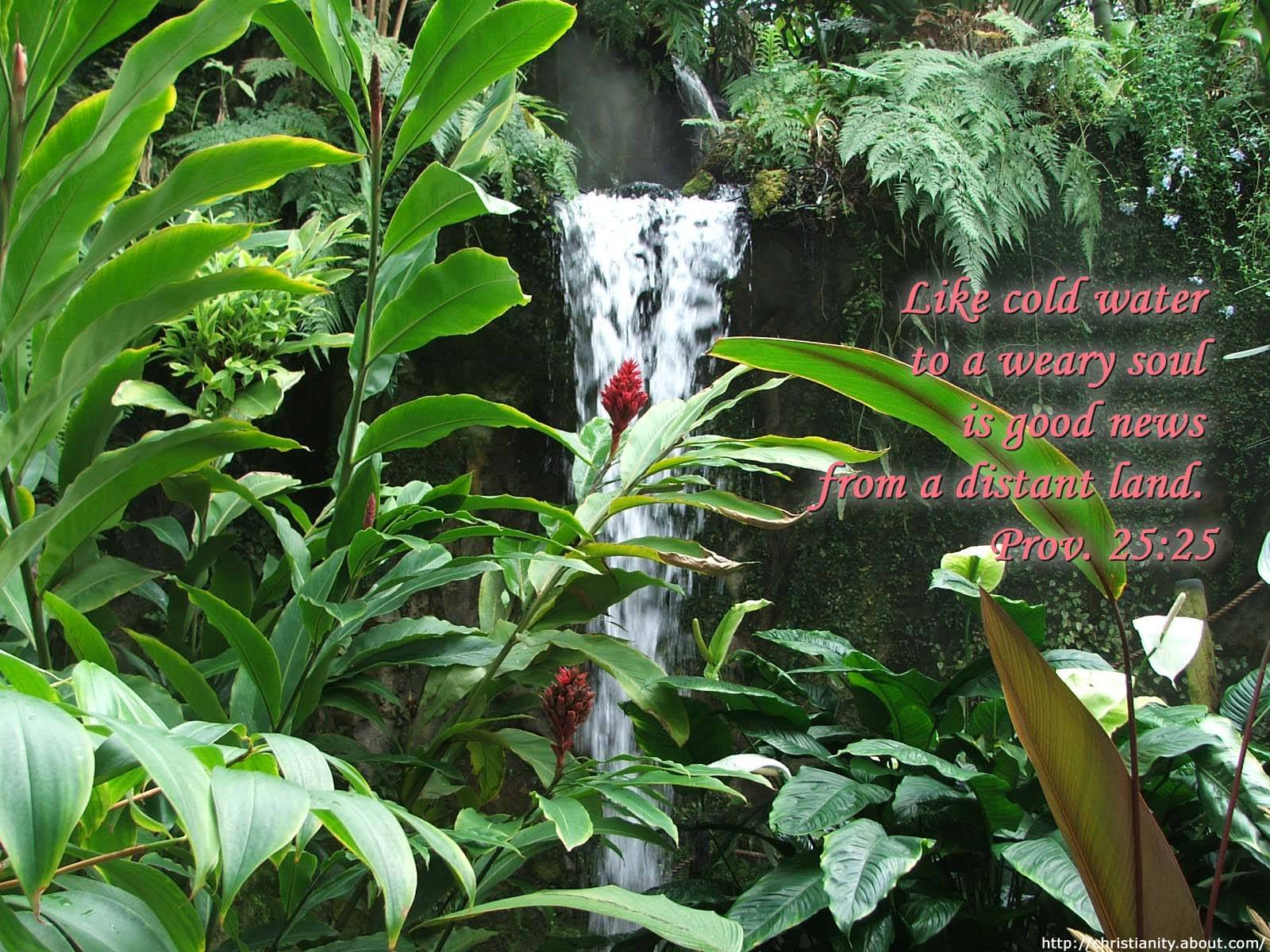 bible verses, Religion, Quote, Text, Poster, Bible, Verses, Ry Wallpaper