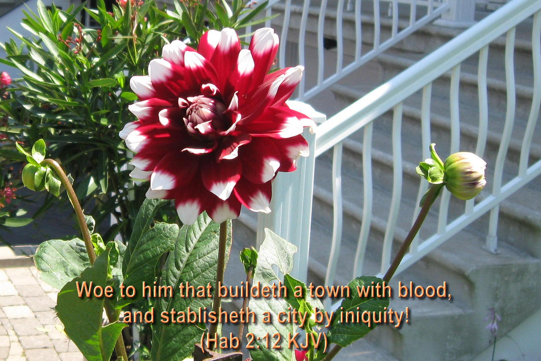 bible verses, Religion, Quote, Text, Poster, Bible, Verses Wallpaper