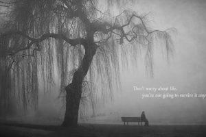 quotes, Bench, Lonely, Grayscale, Lakes