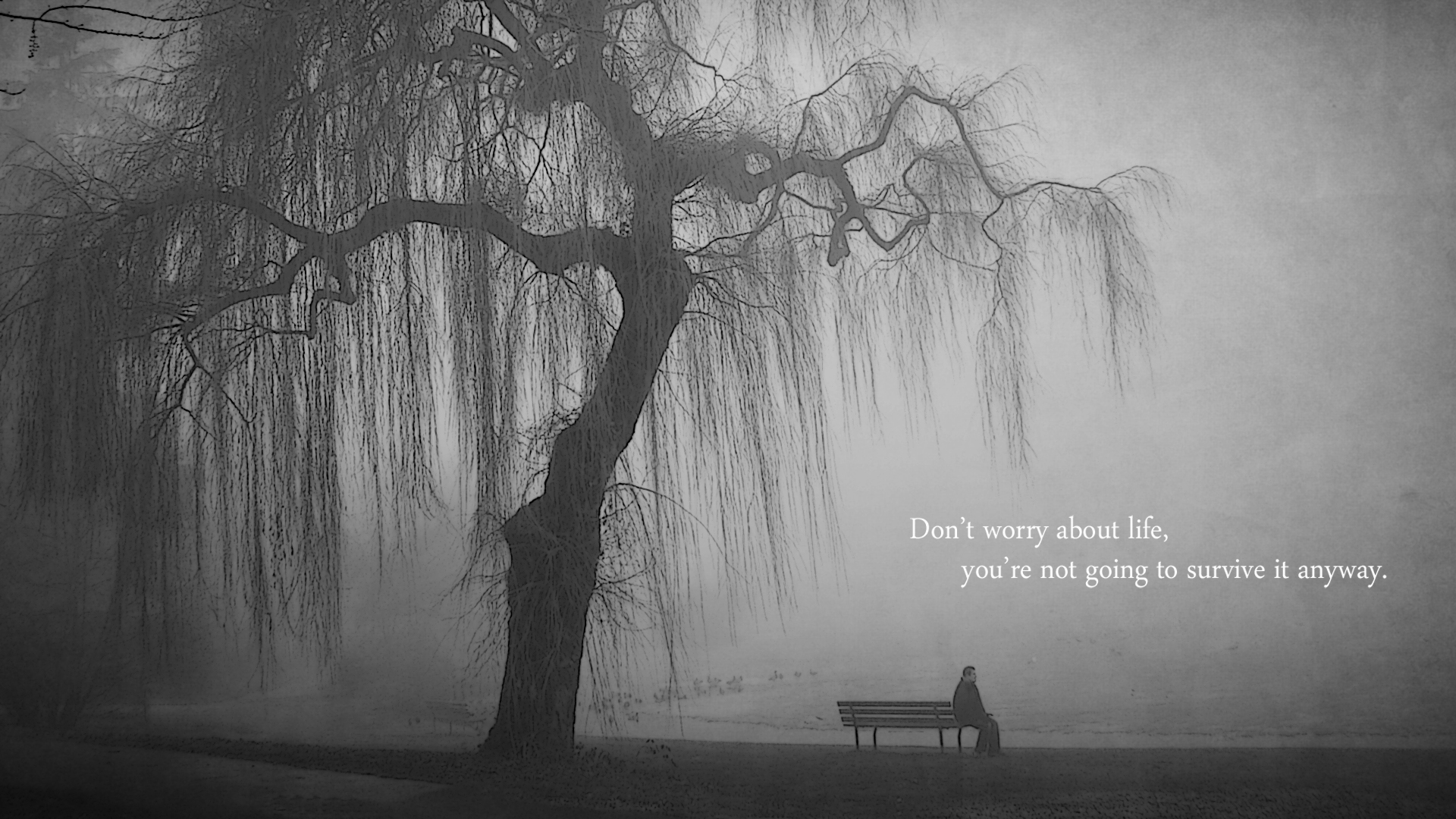 quotes, Bench, Lonely, Grayscale, Lakes Wallpapers HD / Desktop and