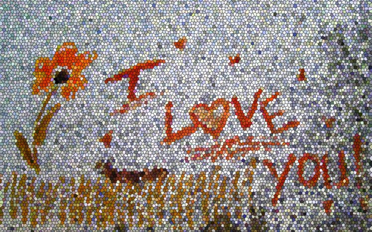 love, Flowers HD Wallpaper Desktop Background