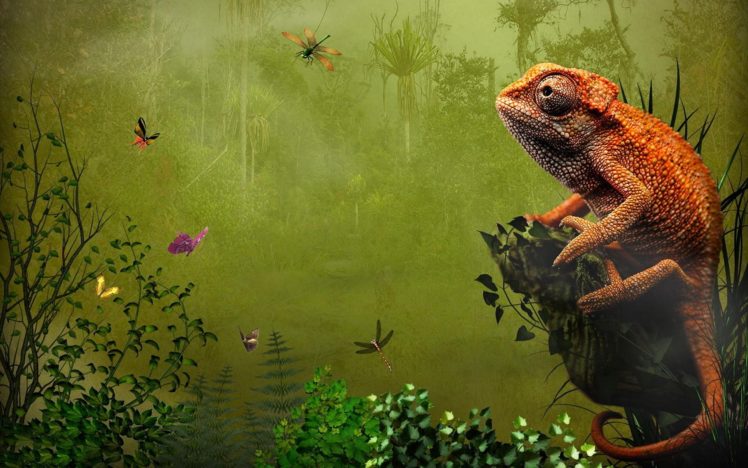 nature, Chameleons, Artwork, Reptiles HD Wallpaper Desktop Background