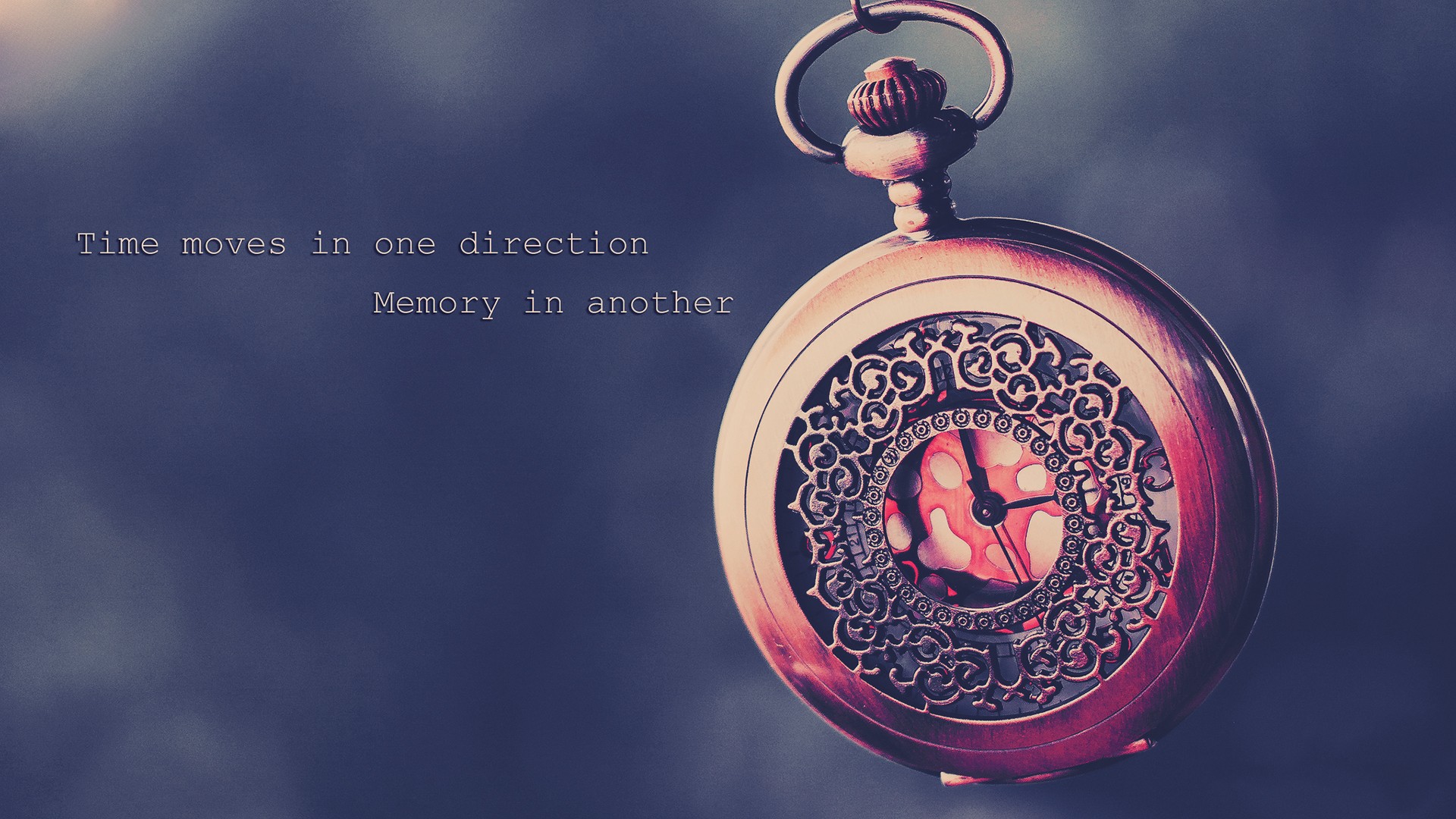 macro Wallpaper