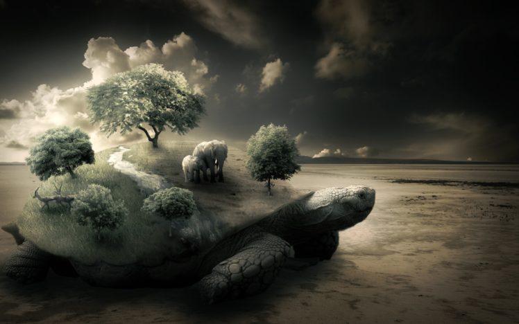 nature, Trees, Turtles, Elephants, Photomanipulations HD Wallpaper Desktop Background