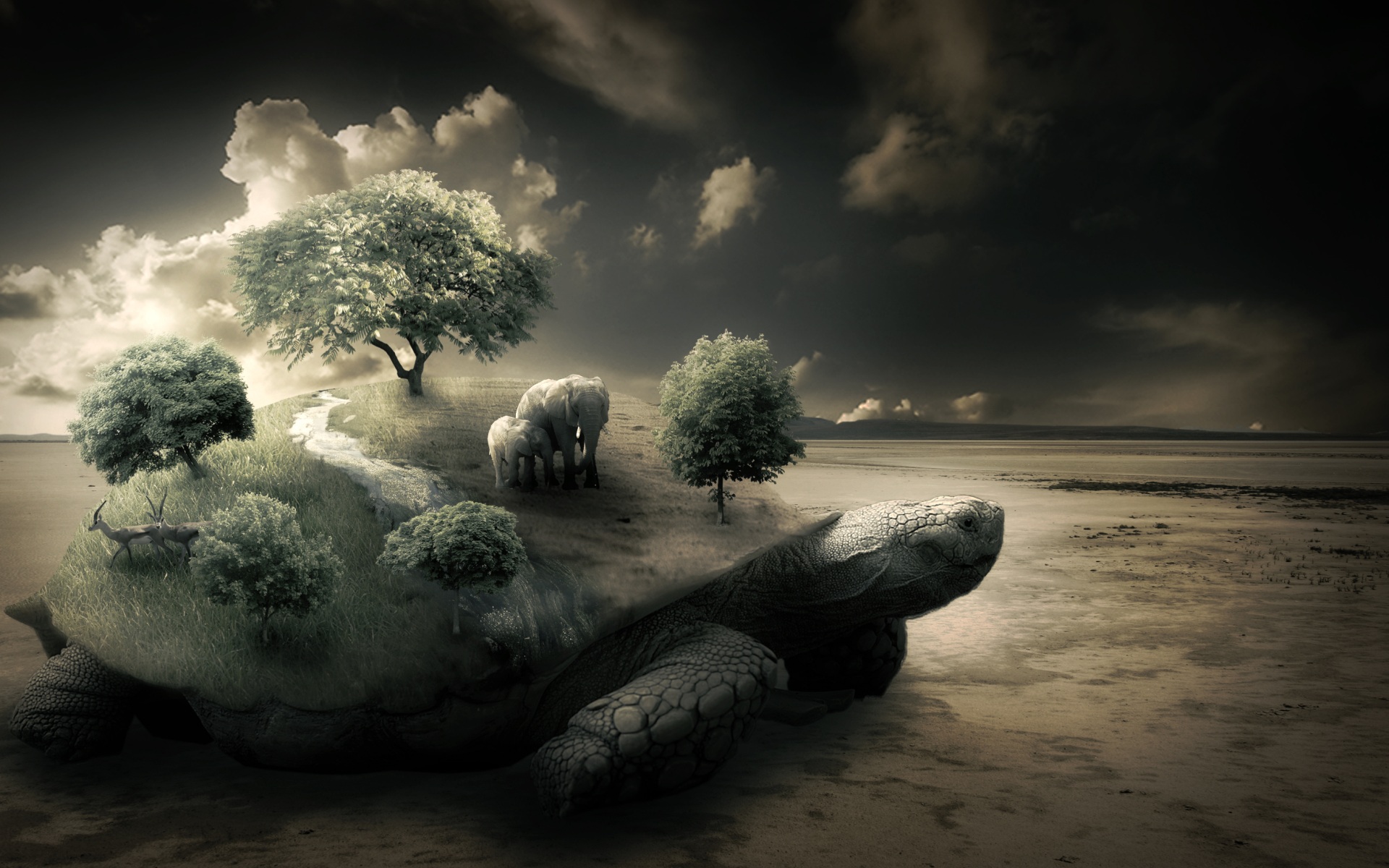 nature, Trees, Turtles, Elephants, Photomanipulations Wallpaper