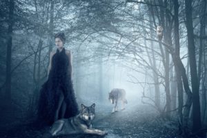 isadora, Vilarim, Girl, Wolf, Owl, Forest, Wolves, Gothic, Goth, Loli, Mood