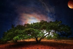 tree, Art, Planet, Light, Fantasy, Sci fi, Galaxy, Sky, Stars