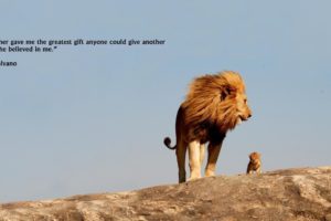 animals, Quotes, Lions, Skyscapes