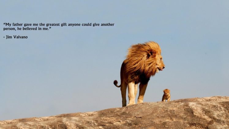 animals, Quotes, Lions, Skyscapes HD Wallpaper Desktop Background