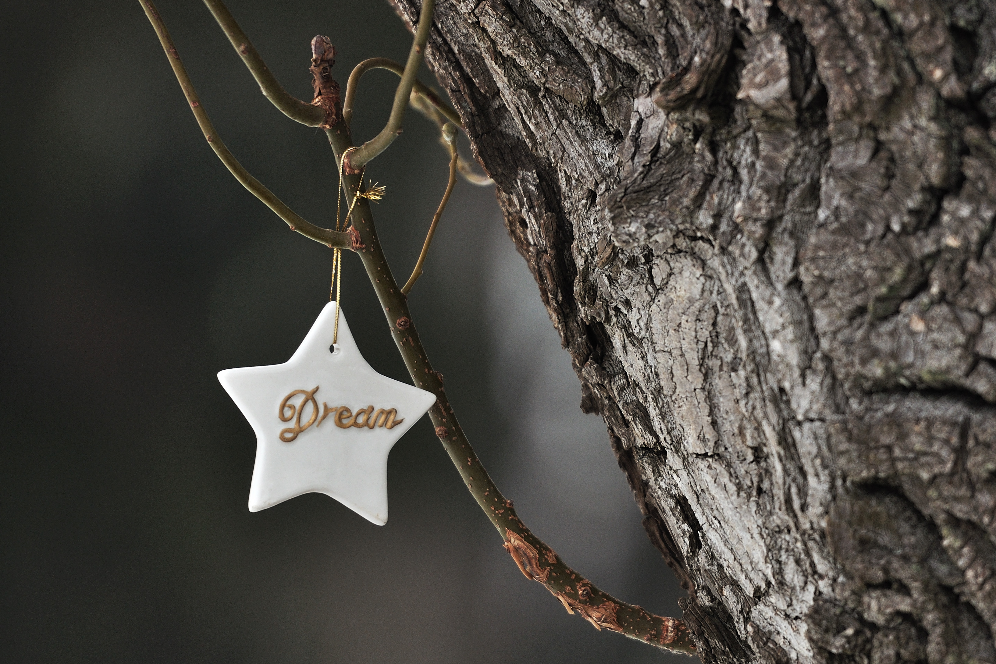 holiday, Cold, Christmas, Winter, Dream Wallpaper