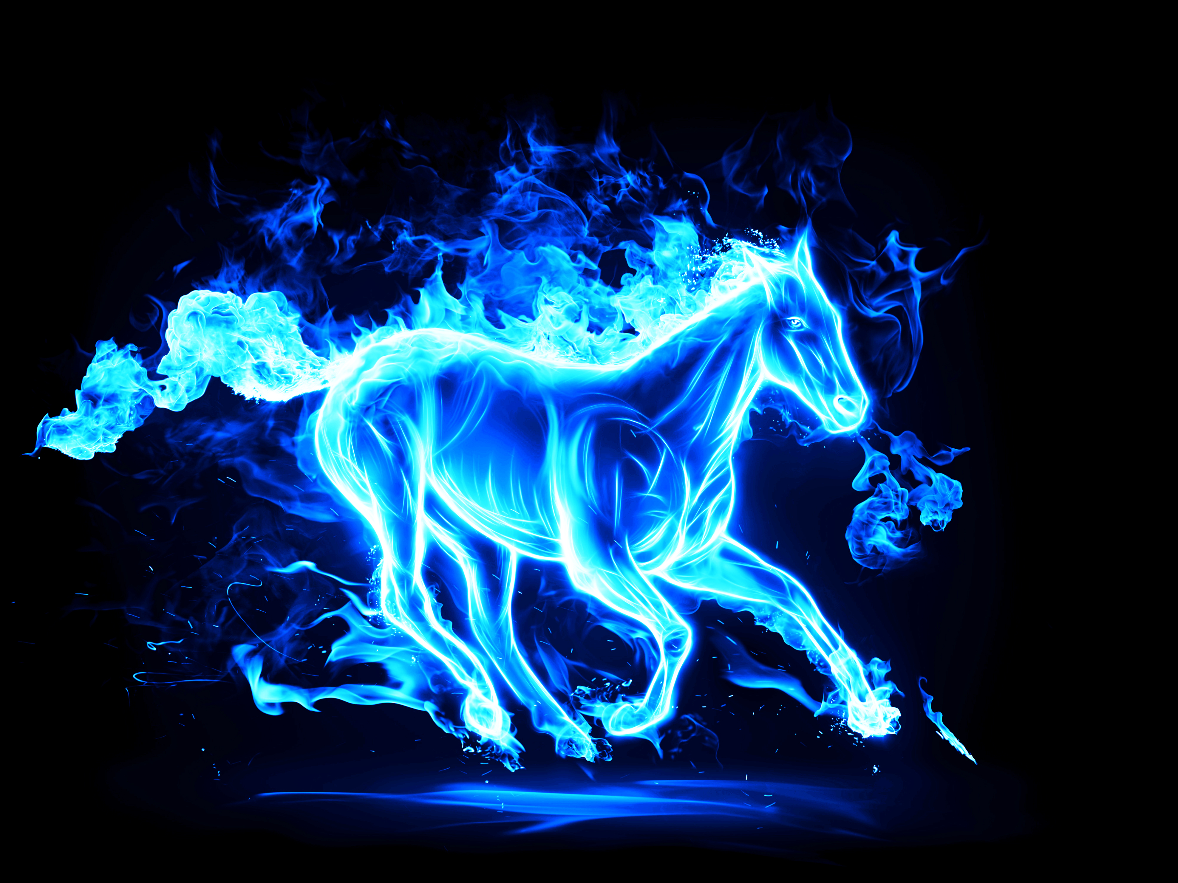 horse, Fire, Animals, 3d, Graphics Wallpaper