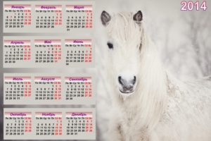 horse, Calendar, 2014