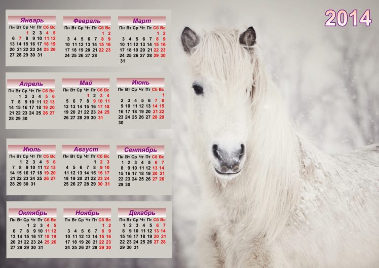 horse, Calendar, 2014 HD Wallpaper Desktop Background
