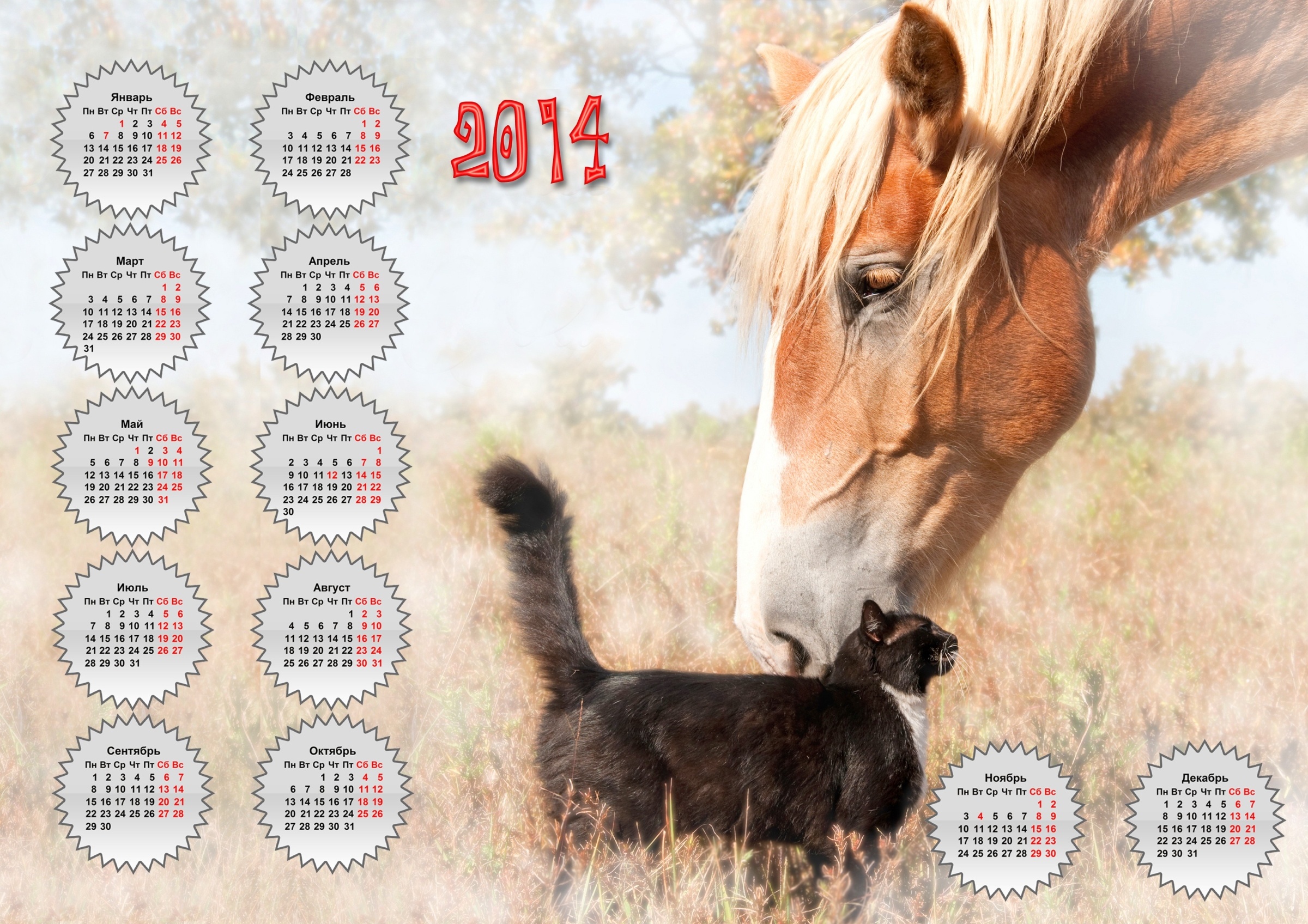 horse, Cat, Friends, Calendar, 2014 Wallpaper