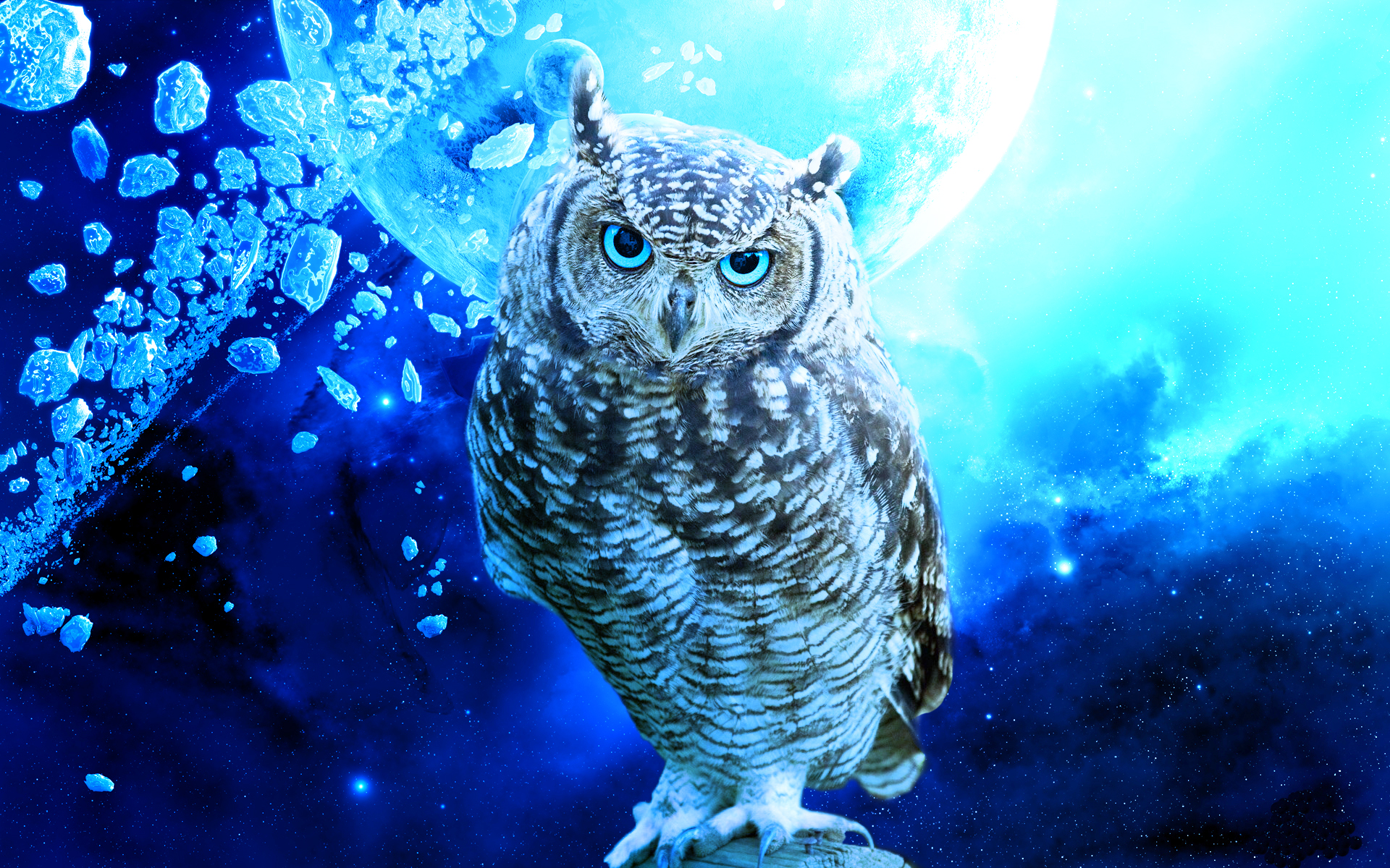 owl, Bird, Stars, Debris, Blue, Planet Wallpaper
