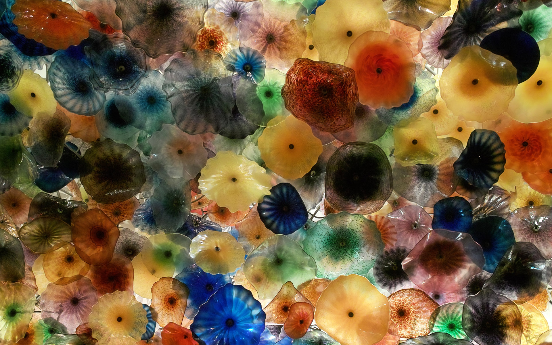 jellyfish, Underwater, Ocean, Sea, Bokeh, Jelly,  65 Wallpaper