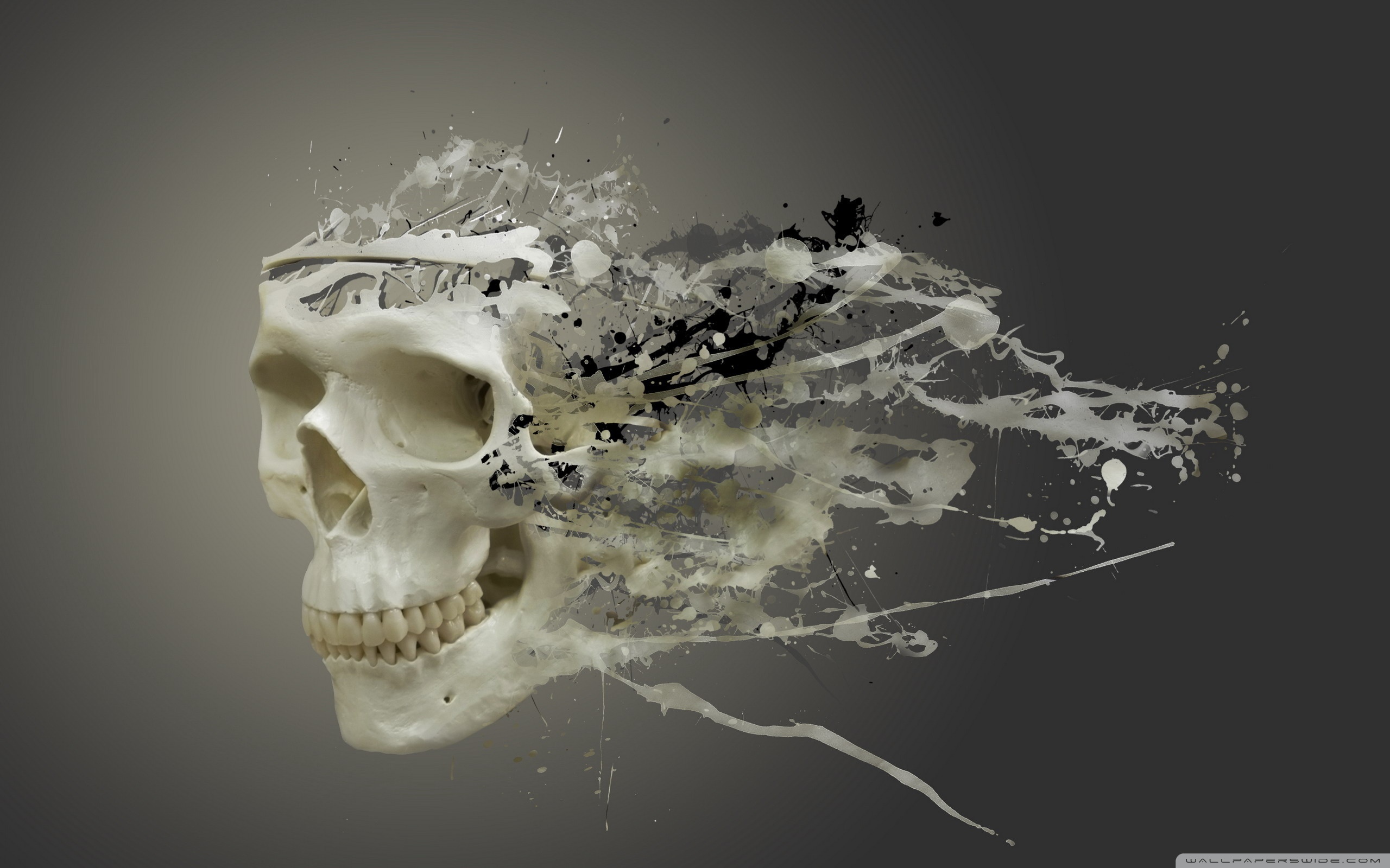 disintegrating, Skull wallpaper 2560x1600 Wallpaper