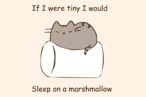 paintings, Minimalistic, Text, Cats, Marshmallow, Phrase, Simple