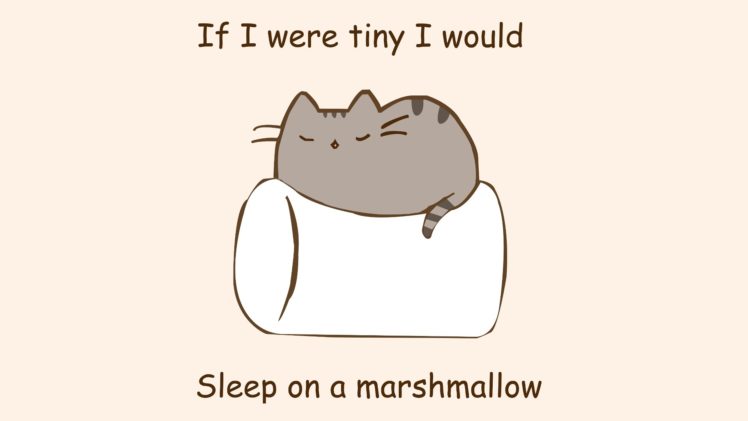 paintings, Minimalistic, Text, Cats, Marshmallow, Phrase, Simple HD Wallpaper Desktop Background