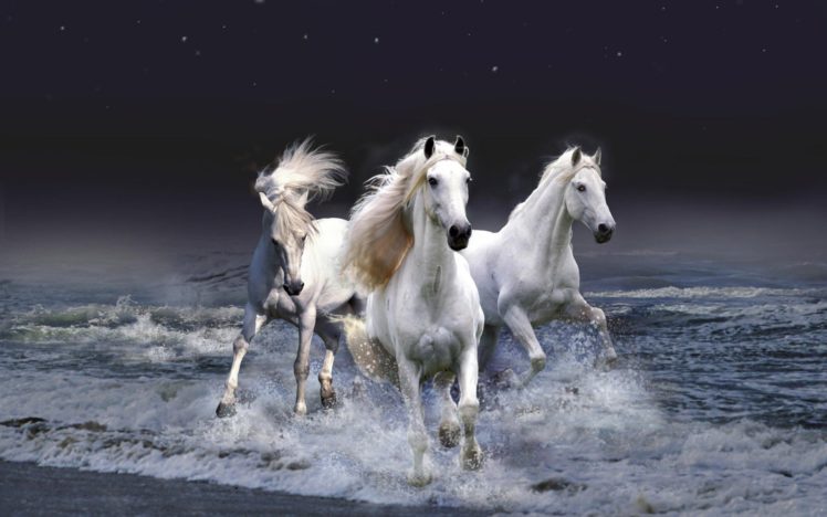3d, View, Horses, Photo, Manipulation HD Wallpaper Desktop Background